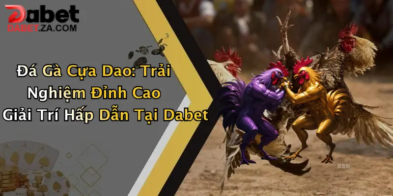 Đá Gà Cựa Dao: Trải Nghiệm Đỉnh Cao Giải Trí Hấp Dẫn Tại Dabet 1 Đá Gà Cựa Dao: Trải Nghiệm Đỉnh Cao Giải Trí Hấp Dẫn Tại Dabet