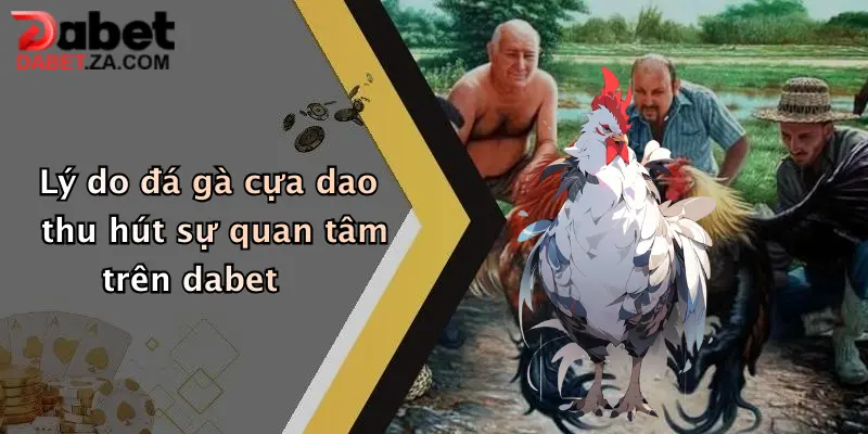Đá Gà Cựa Dao: Trải Nghiệm Đỉnh Cao Giải Trí Hấp Dẫn Tại Dabet 2 Lý do đá gà cựa dao thu hút sự quan tâm trên dabet