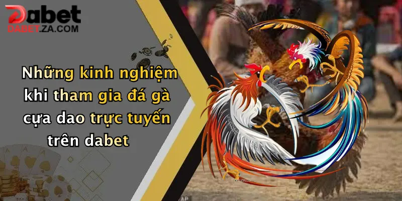 Đá Gà Cựa Dao: Trải Nghiệm Đỉnh Cao Giải Trí Hấp Dẫn Tại Dabet 5 Những kinh nghiệm khi tham gia đá gà cựa dao trực tuyến trên dabet